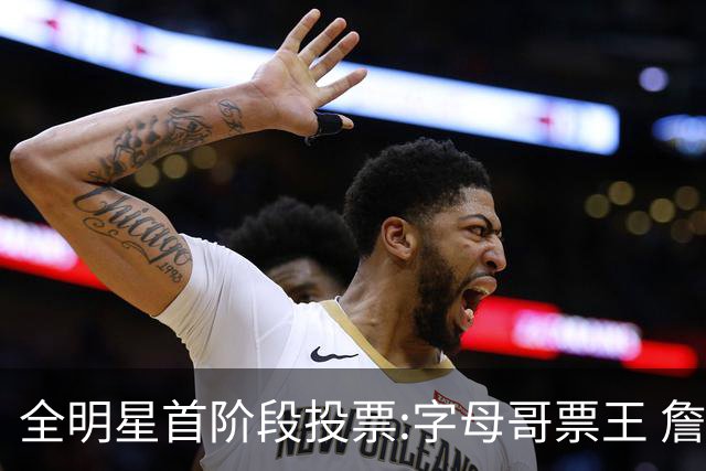 全明星首阶段投票:字母哥票王 詹姆斯西部票王