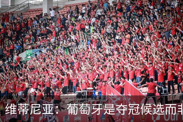 维蒂尼亚：葡萄牙是夺冠候选而非热门 C罗以他的方式奉献自己